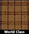 Blocks World Class